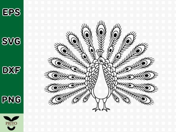 How a Peacock Graphic Became My Campaign Hero