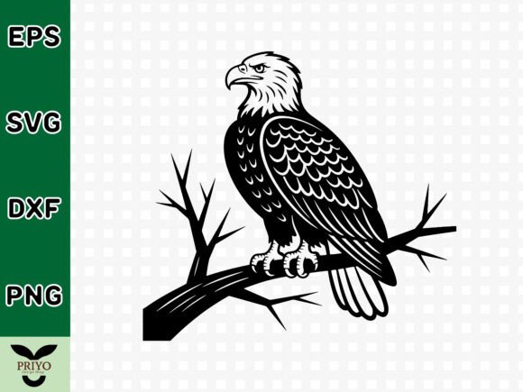 The Majestic Bald Eagle: A Practical Design Review